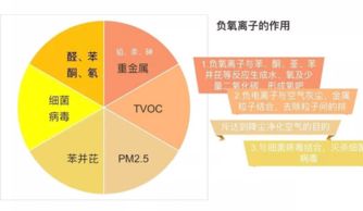 舜明车载空气净化器加盟 信息技术咨询助您精力充沛创业